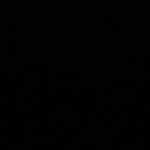 Meet your Posher, Frenchie